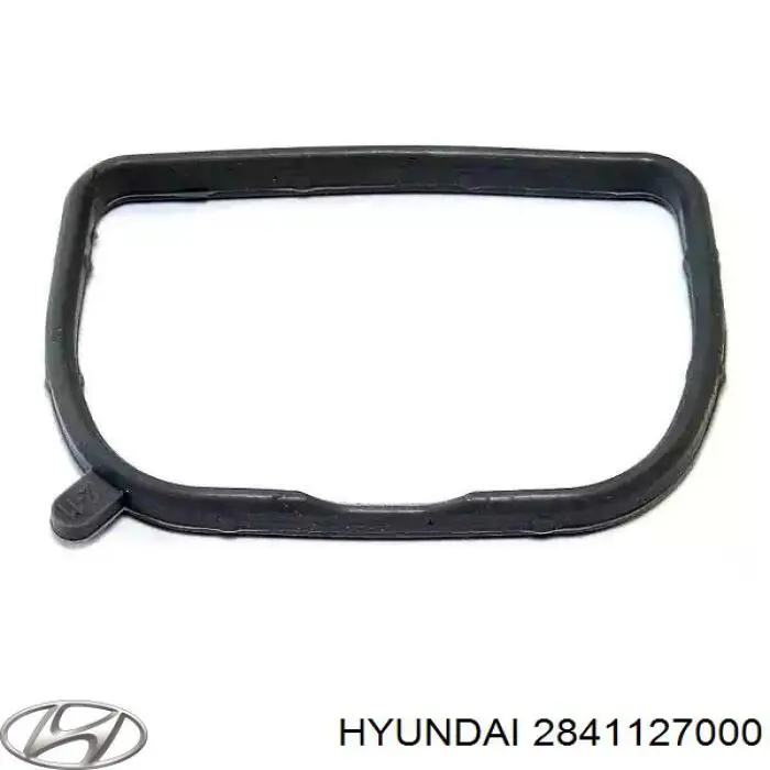 2841127000 Hyundai/Kia Vedante de tubo coletor de admissão