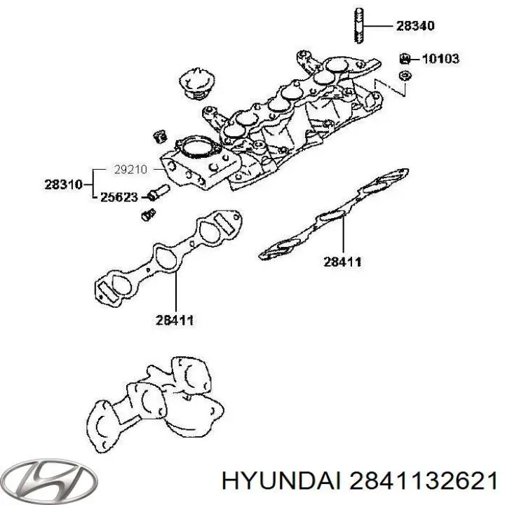 Vedante de tubo coletor de admissão para Hyundai H100  P