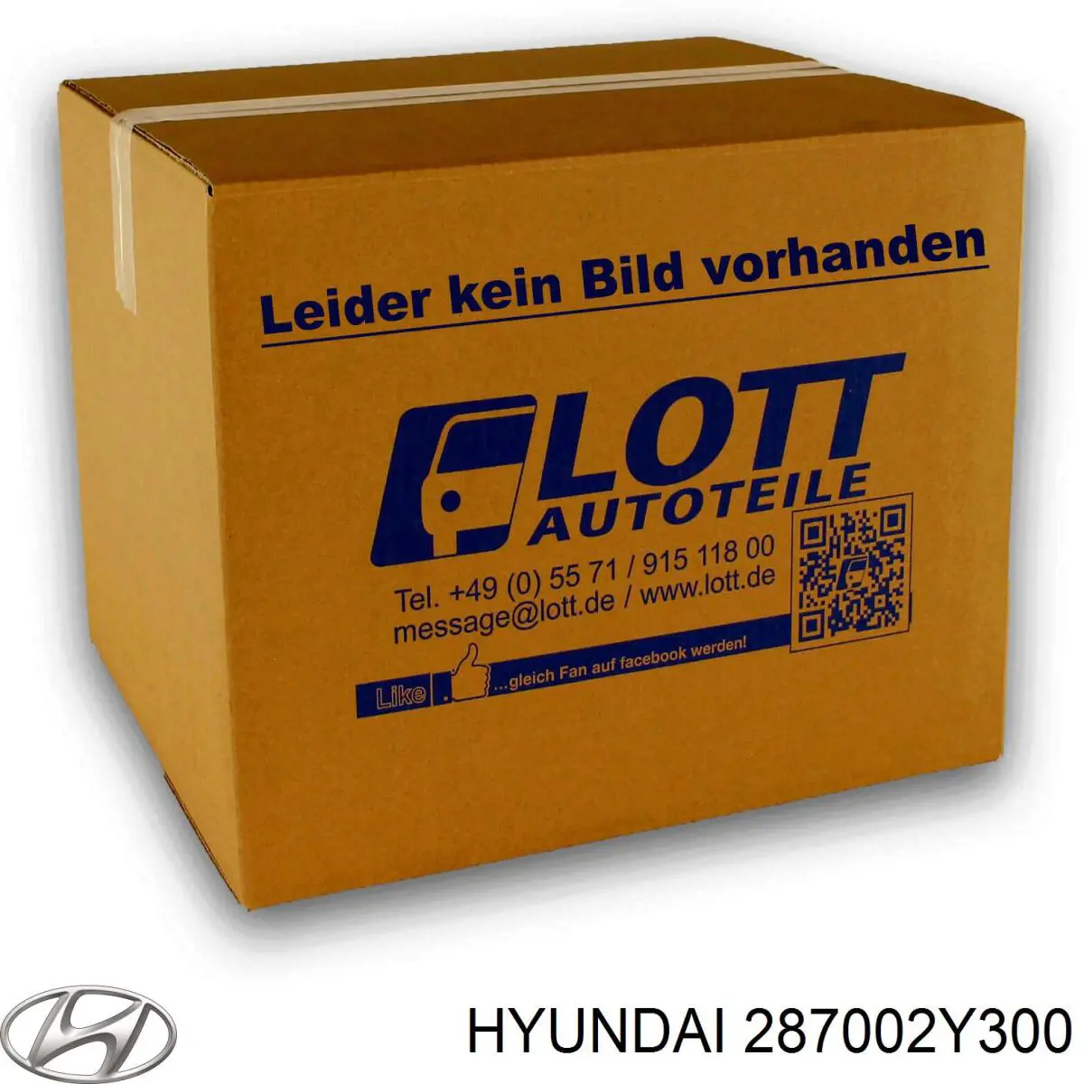 287002Y300 Hyundai/Kia Silenciador, parte traseira