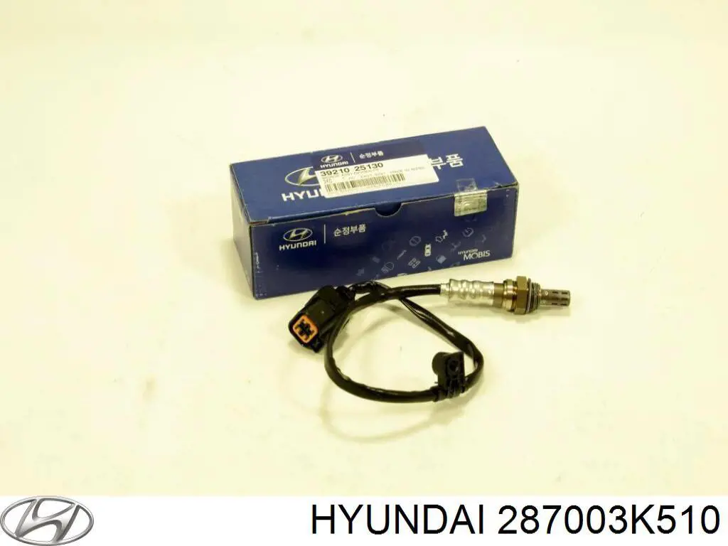  Silenciador, parte traseira Hyundai Sonata V sedan (NF) (2007 - 2010) V