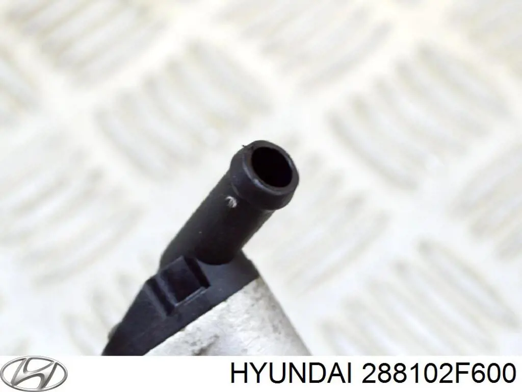 Compre 288102F600 Hyundai/Kia Bomba a vácuo
