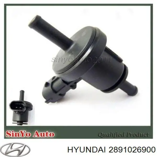 0280142556 Bosch Válvula de soprado de catalisador