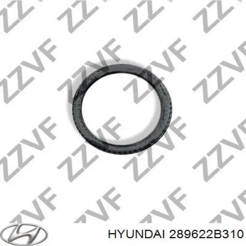 289622B310 Hyundai/Kia Vedante de tubo de admissão do silenciador