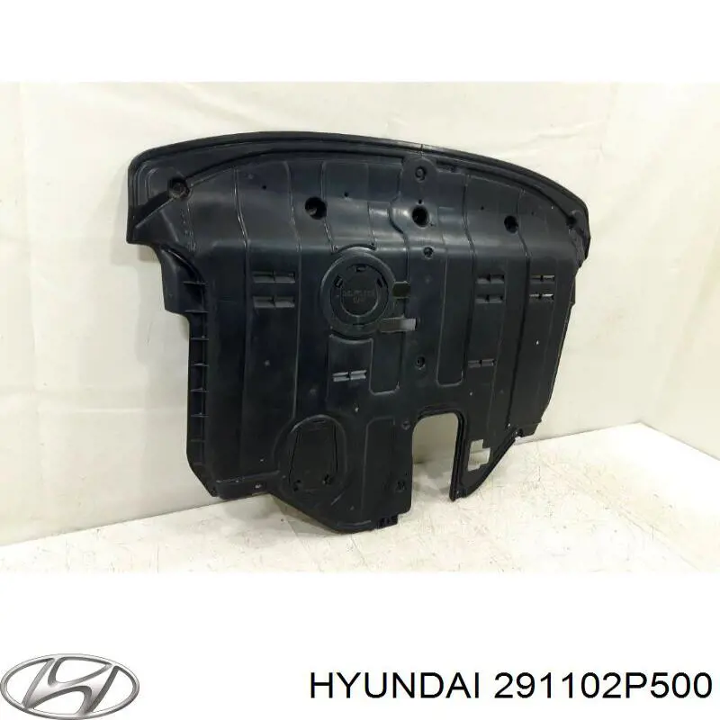 291102P500 Hyundai/Kia Proteção de motor, de panela (da seção de motor)