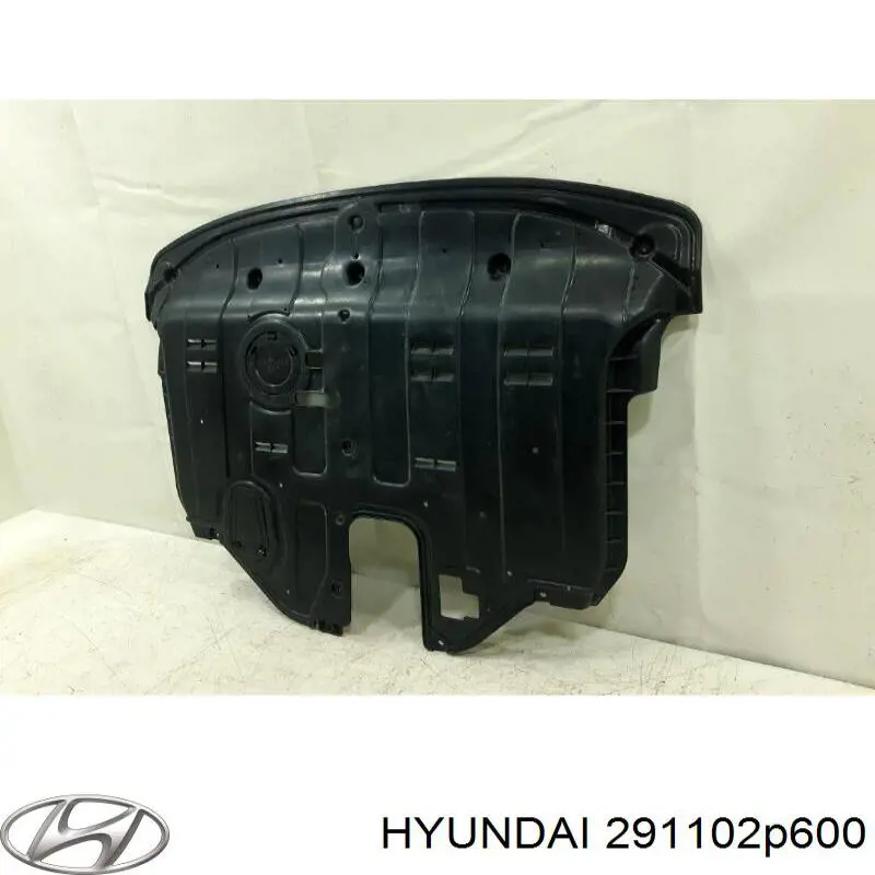 291102P600 Hyundai/Kia Proteção de motor, de panela (da seção de motor)