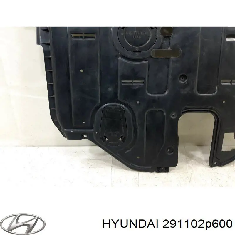 Compre 291102P600 Hyundai/Kia Proteção de motor, de panela (da seção de motor)