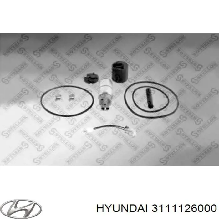  Bomba de combustível elétrica submersível Hyundai Santa Fe I SUV (SM) (2000 - 2006) I