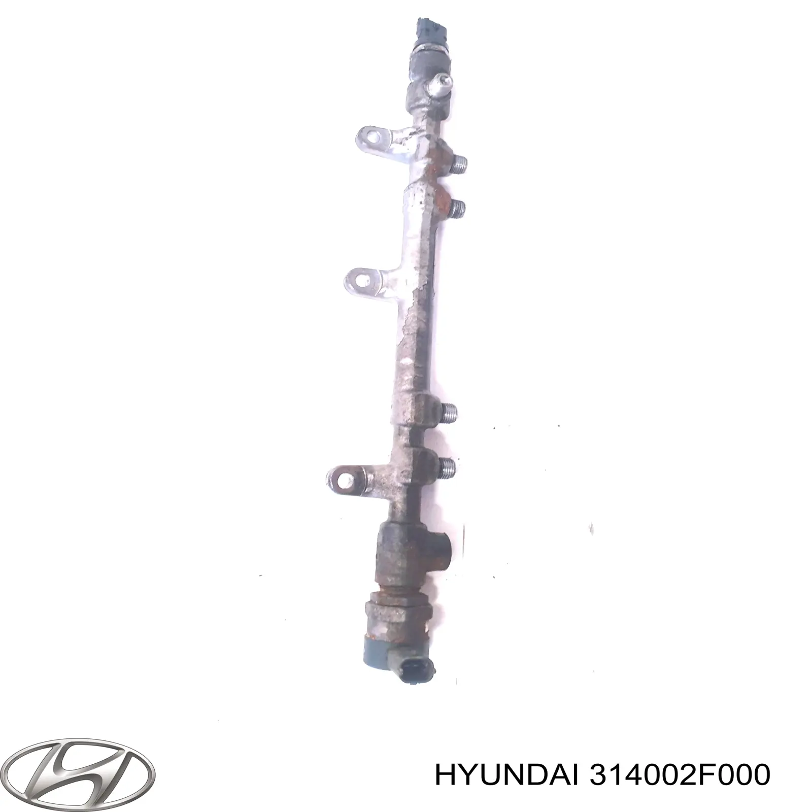 314002F000 Hyundai/Kia Distribuidor de combustível (rampa)
