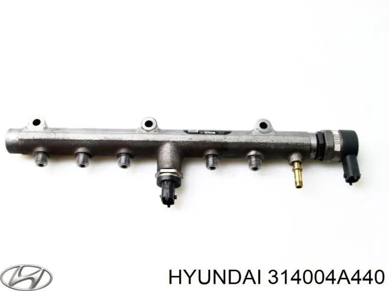 314004A440 Hyundai/Kia Distribuidor de combustível (rampa)