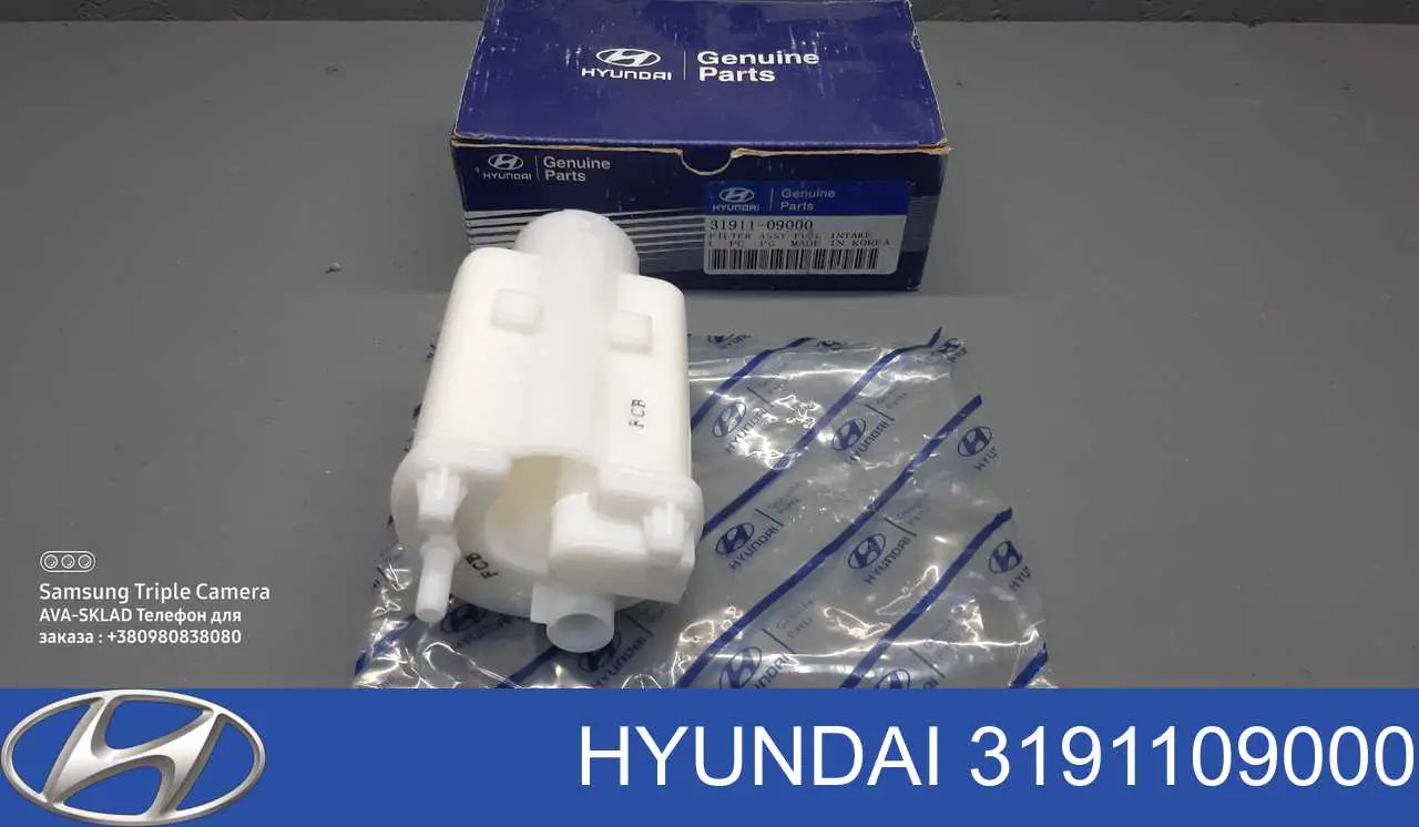 3191109000 Hyundai/Kia Filtro de combustível
