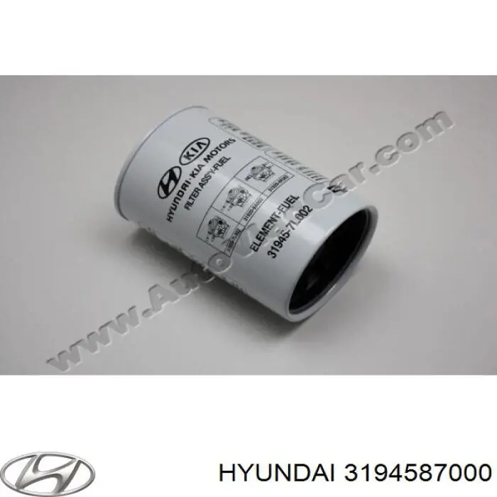 Filtro de combustível 3194552160 Hyundai/Kia
