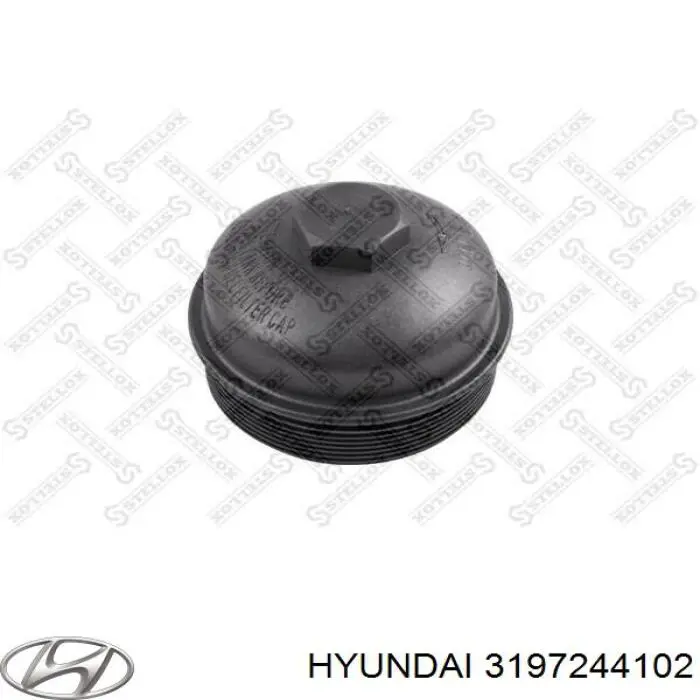 3197244102 Hyundai/Kia Tampa de casco de filtro de combustível