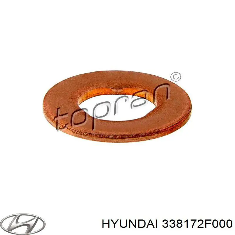 Compre 338172F000 Hyundai/Kia Vedante anular de tubo de ligação de retorno de mangueira do injetor