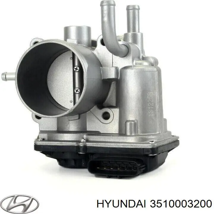 3510003200 Hyundai/Kia Válvula de borboleta montada