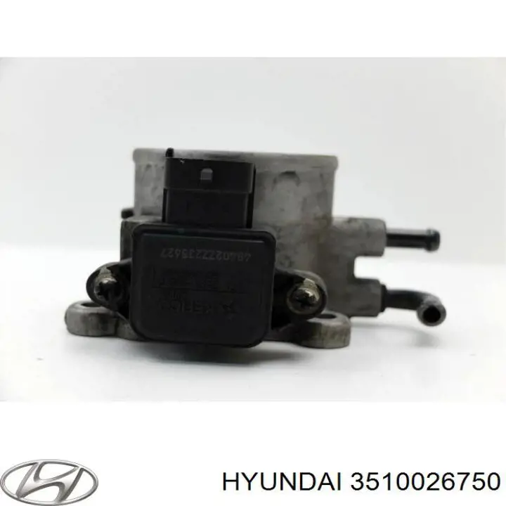 3510026750 Hyundai/Kia Válvula de borboleta montada