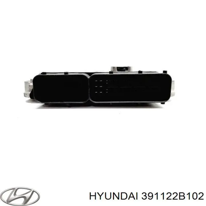 391122B102 Hyundai/Kia Módulo de direção (Centralina eletrônica) de motor
