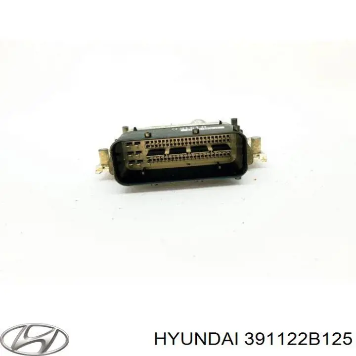 Compre 391122B125 Hyundai/Kia Módulo de direção (Centralina eletrônica) de motor