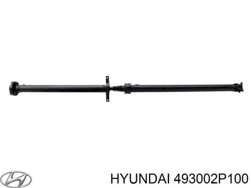 493002P100 Hyundai/Kia Junta universal traseira montada