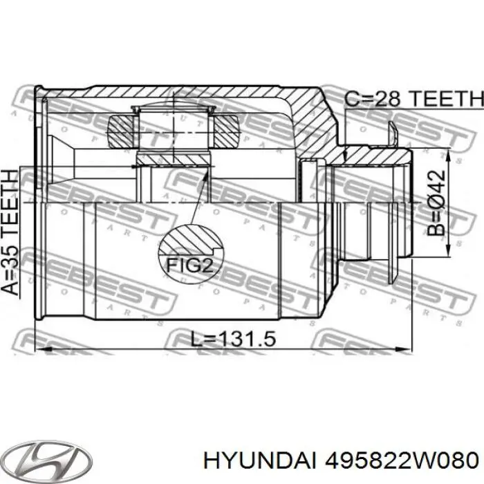 495822W080 Hyundai/Kia Junta homocinética interna dianteira direita