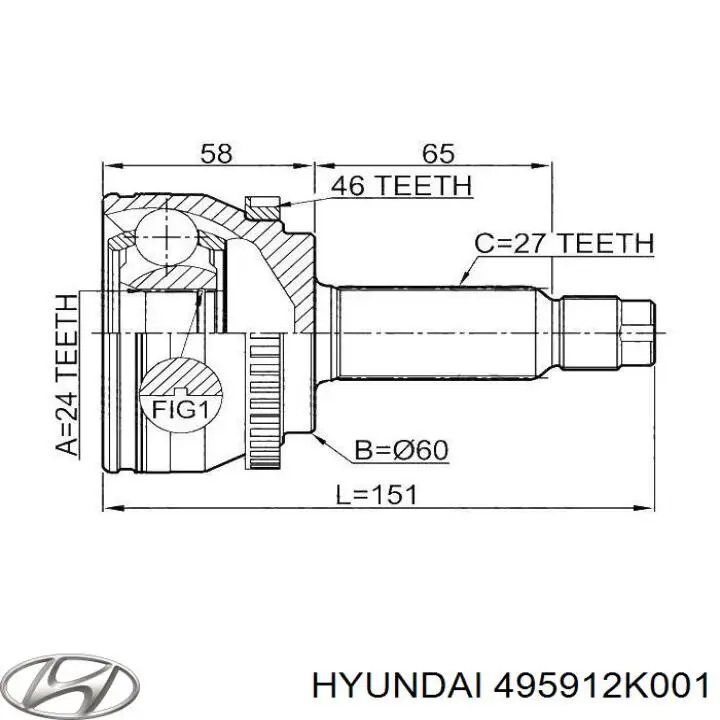 Junta homocinética externa dianteira 495912K001 Hyundai/Kia