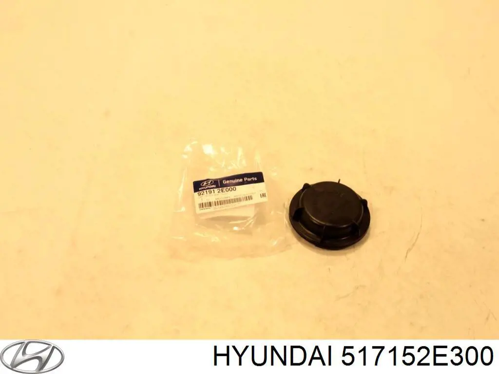 Pino moente (extremidade do eixo) dianteiro esquerdo Hyundai/Kia 517152E300 preço, a partir de 129,40 USD