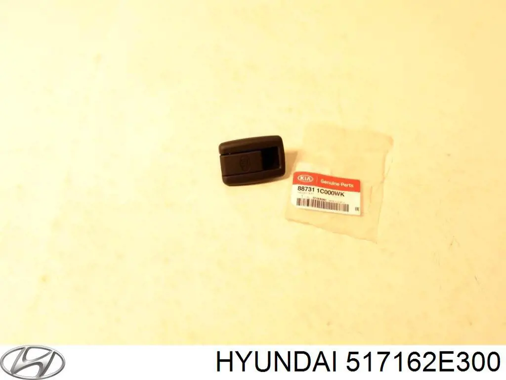 517162E300 Hyundai/Kia Pino moente (extremidade do eixo) dianteiro direito