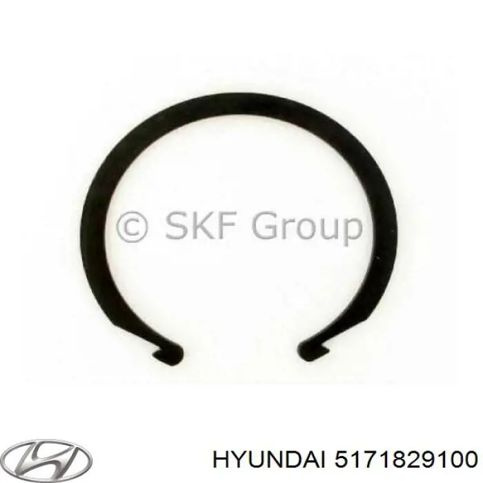 Compre 5171829100 Hyundai/Kia Anel de travagem de rolamento de cubo dianteiro