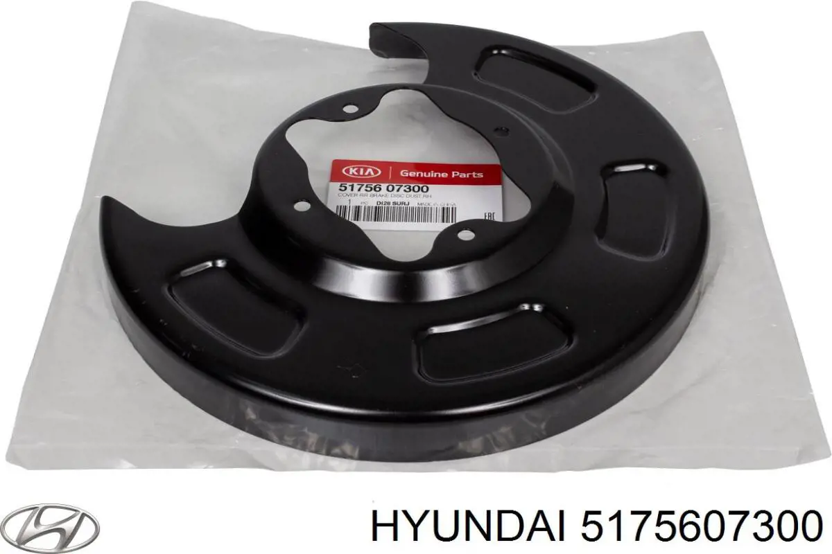 5175607300 Hyundai/Kia Proteção do freio de disco dianteiro direito