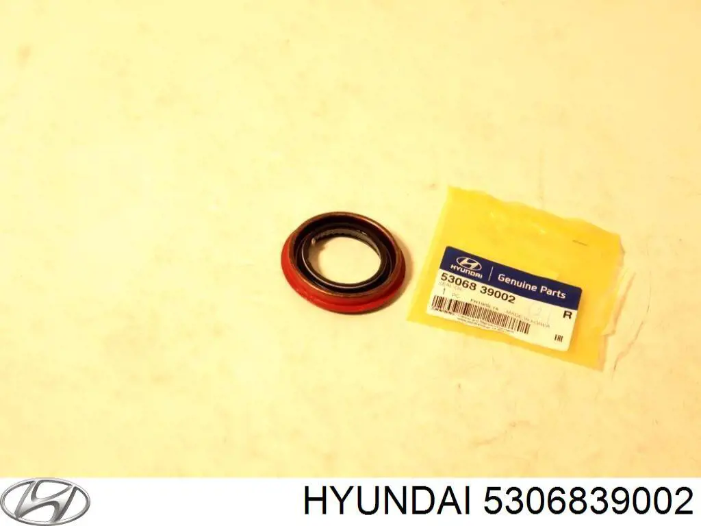 5306839002 Hyundai/Kia Bucim de redutor do eixo traseiro