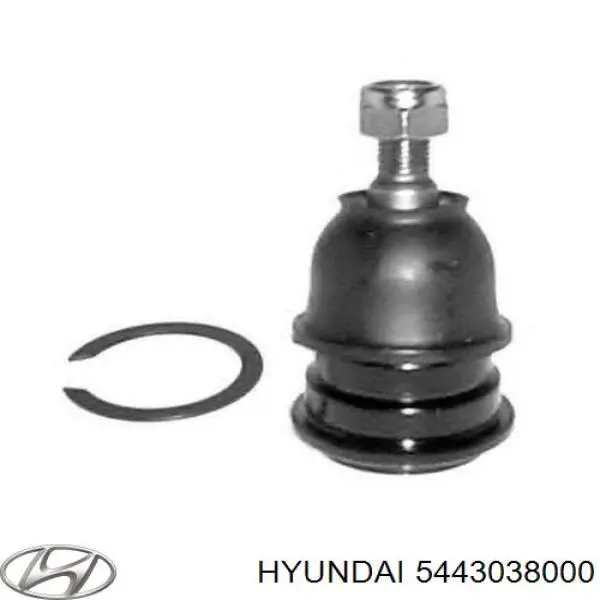 5443038000 Hyundai/Kia Suporte de esfera superior