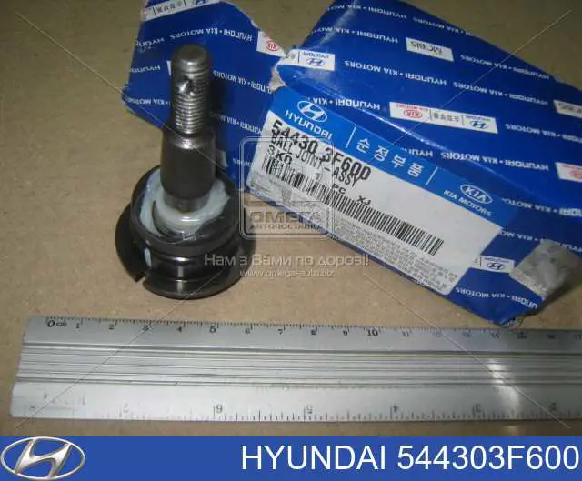 Compre 544303F600 Hyundai/Kia Suporte de esfera superior