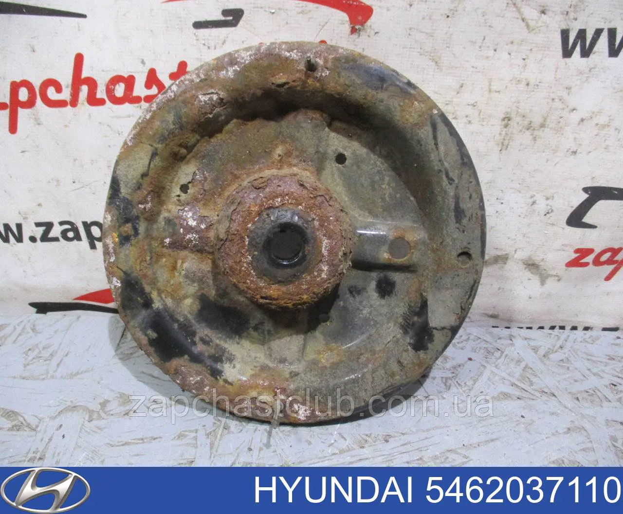 Copo de suporte superior de mola dianteira Hyundai/Kia 5462037110 preço, a partir de 66,03 USD