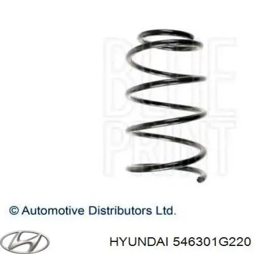 Mola dianteira 546301G110 Hyundai/Kia