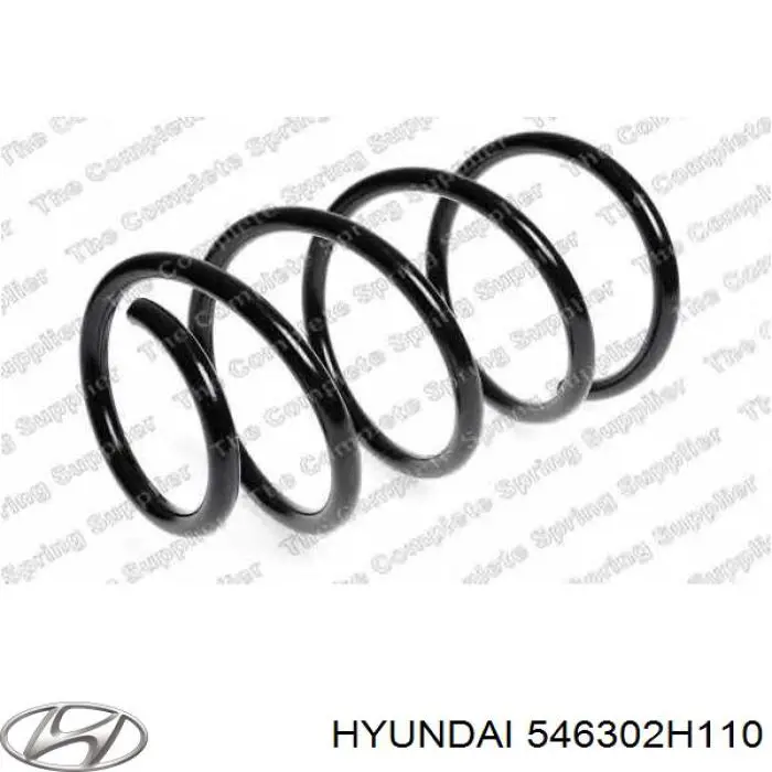 546302H110 Hyundai/Kia Mola dianteira