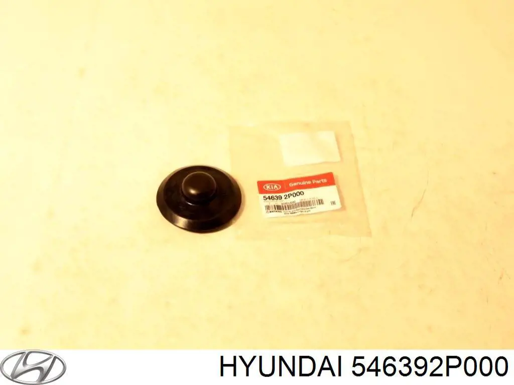 546392P000 Hyundai/Kia Tampa de suporte do amortecedor dianteiro