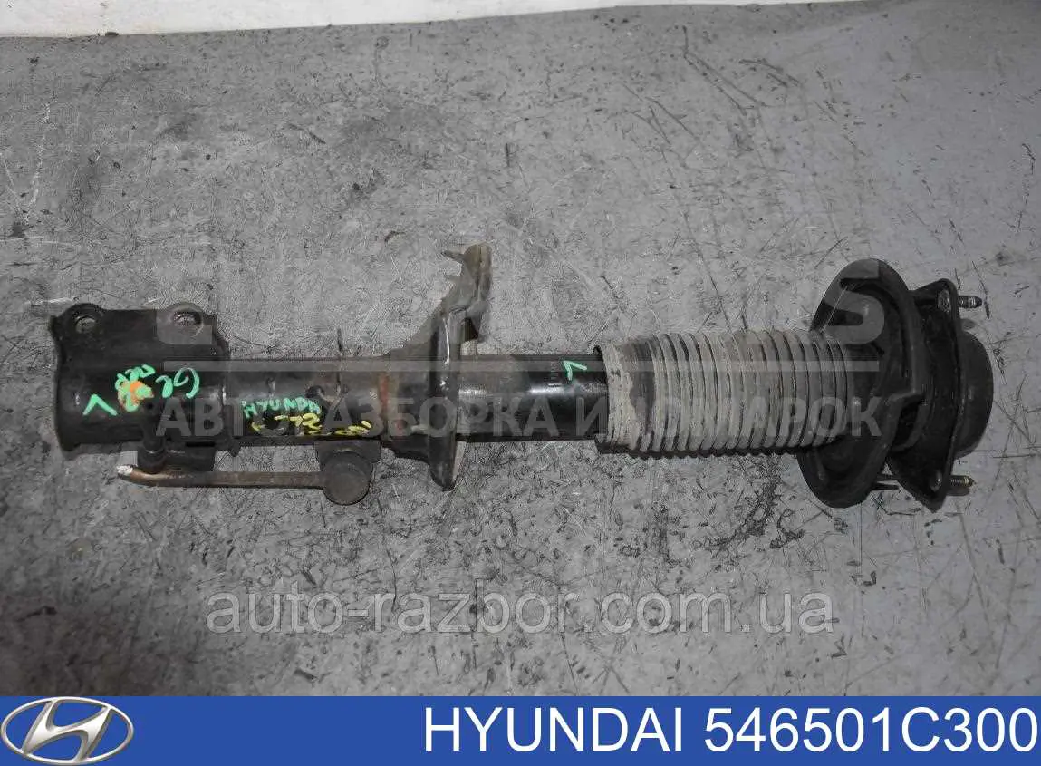 Compre 546501C300 Hyundai/Kia Amortecedor dianteiro esquerdo
