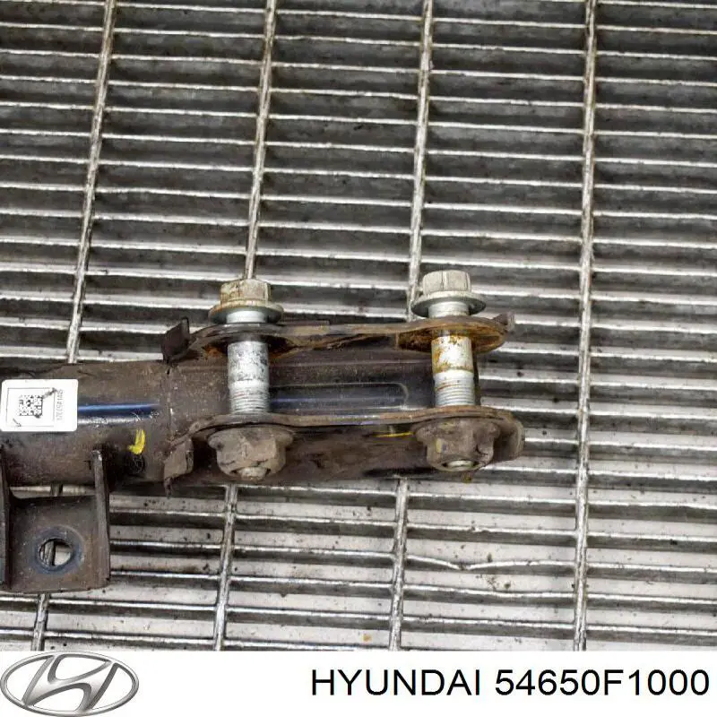 Compre 54650F1000 Hyundai/Kia Amortecedor dianteiro esquerdo
