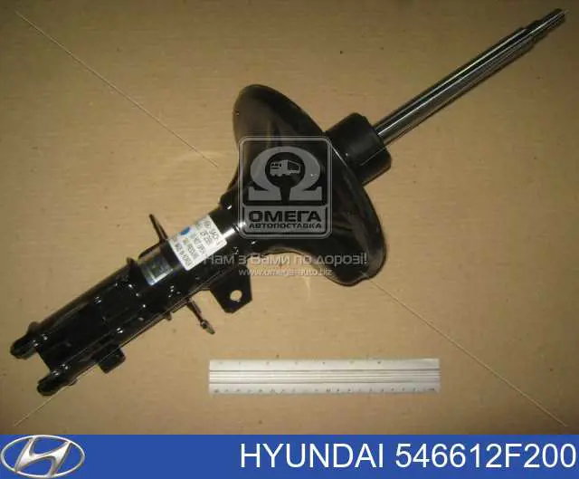 Compre 546612F200 Hyundai/Kia Amortecedor dianteiro direito