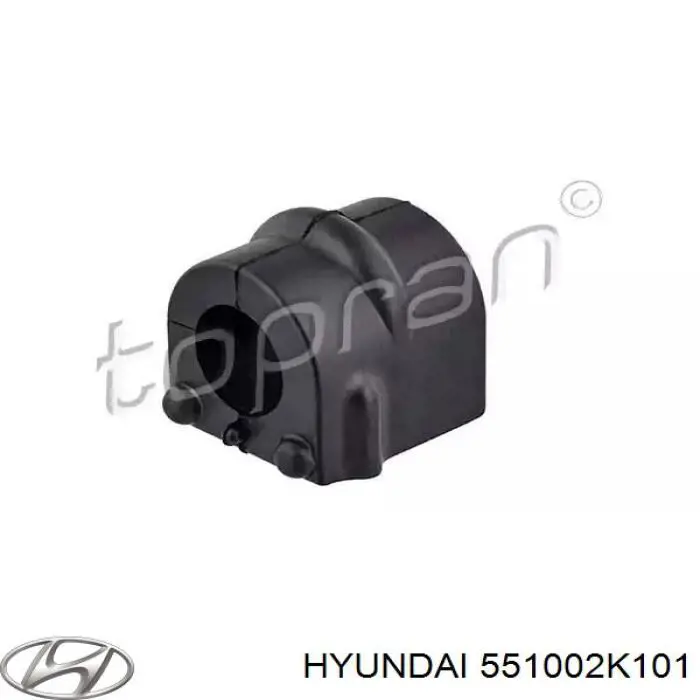 551002K101 Hyundai/Kia Viga de suspensão traseira (plataforma veicular)