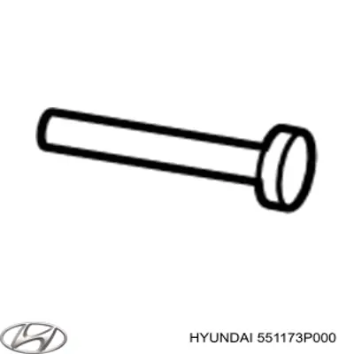 551173P000 Hyundai/Kia Parafuso de braço oscilante traseiro longitudinal (de inclinação)