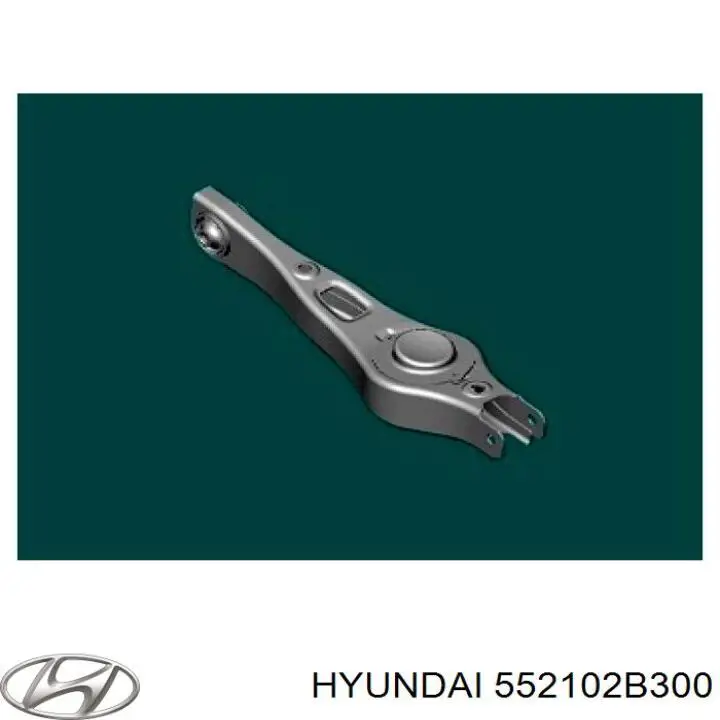 552102B300 Hyundai/Kia Braço oscilante inferior esquerdo de suspensão traseira/direita