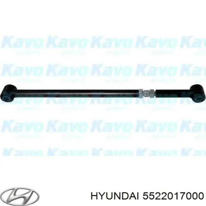 Compre 5522017000 Hyundai/Kia Braço oscilante inferior esquerdo de suspensão traseira/direita