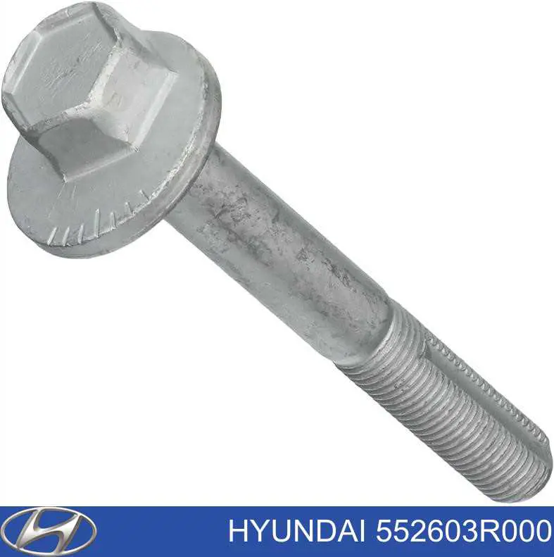 Parafuso de fixação do braço oscilante inferior traseiro, interno Hyundai/Kia 552603R000 preço, a partir de 10,10 USD