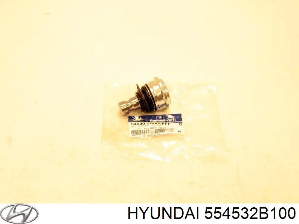 554532B100 Hyundai/Kia Viga de suspensão traseira (plataforma veicular)