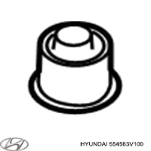 554563V100 Hyundai/Kia Bloco silencioso de viga traseira (de plataforma veicular)