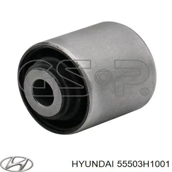 Compre 55503H1001 Hyundai/Kia Bloco silencioso dianteiro de braço oscilante traseiro longitudinal