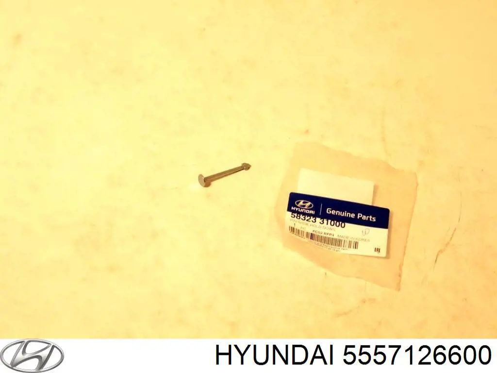 Estabilizador traseiro para Hyundai Santa Fe I SM
