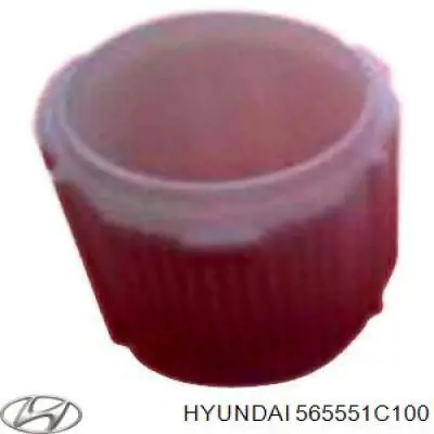 565551C100 Hyundai/Kia Bucha da árvore da cremalheira da direção