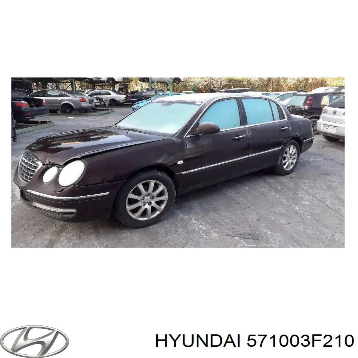 Bomba da Direção hidrâulica assistida Hyundai/Kia 571003F210 preço, a partir de 311,04 USD