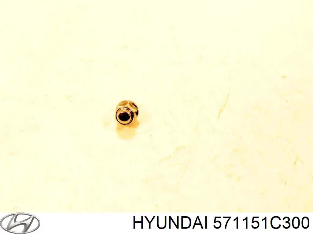 571151C300 Hyundai/Kia Rotor de bomba da Direção hidrâulica assistida